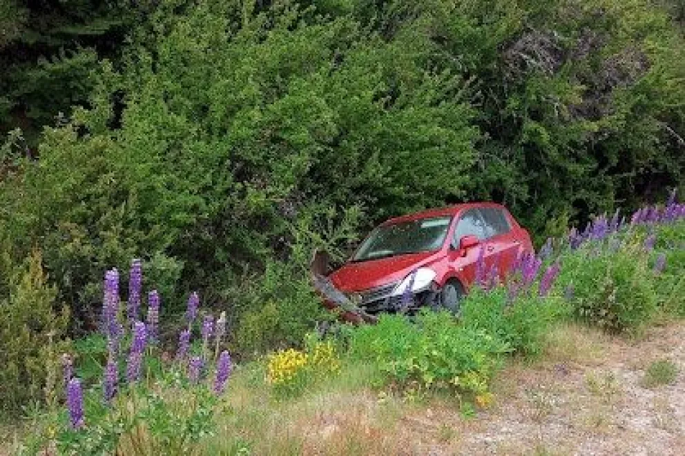 Perdió el control del auto, cruzó la Ruta 40 y terminó entre los matorrales