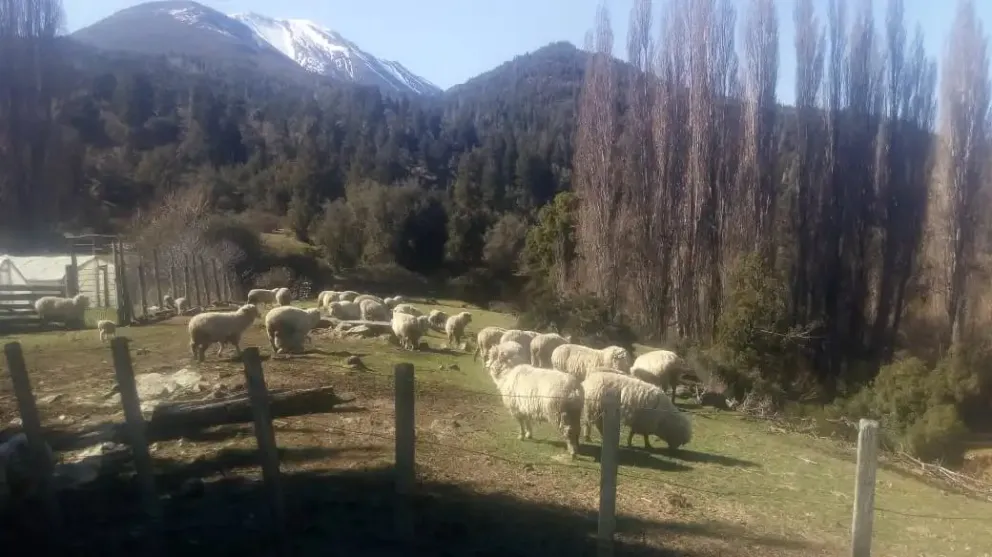 Una organización internacional sin fines de lucro impulsa un programa con el que se pretende desarrollar la conservación de los ecosistemas e impulsar la sostenibilidad económica (imagen ilustrativa de archivo).