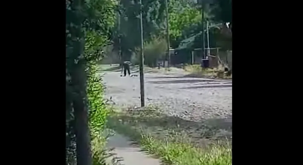 Horror: mató a una perra azotándola contra el suelo y el hecho quedó filmado