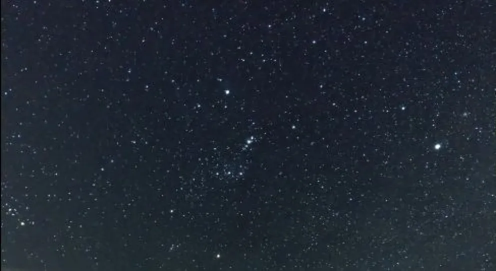 Así se vio la "Lluvia de Estrellas" desde el observatorio de Ñirihuau 