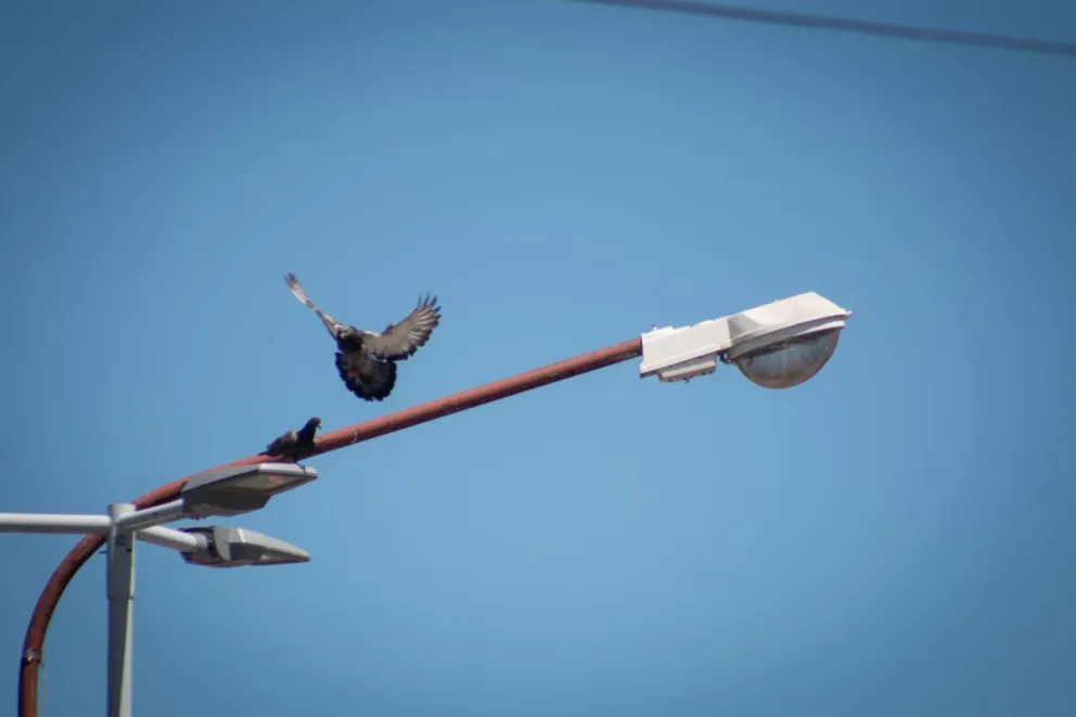 Cortes de luz programados para distintas zonas 