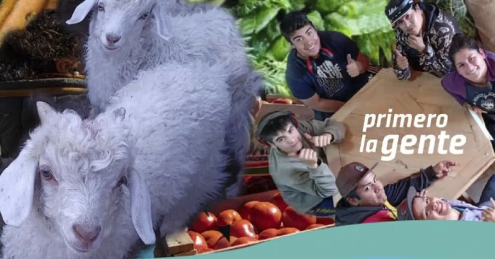 Feria de Agricultura Familiar, Campesina e Indígena y de la Economía Popular