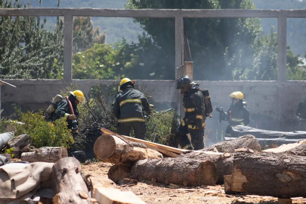 Un incendio que empezó en un aserradero se propagó a un terreno vecino  