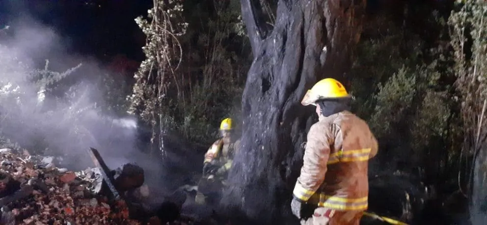Bomberos y SPLIF sofocaron un incendio forestal en Villa Campanario