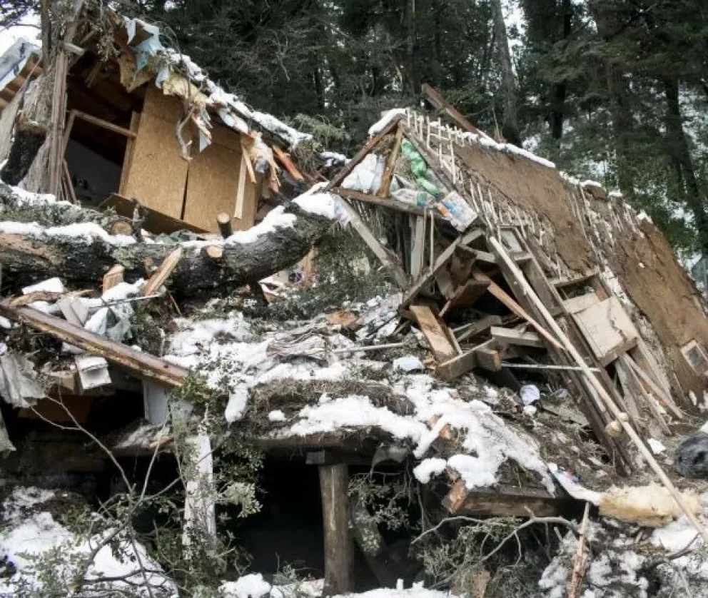 Un árbol les partió la casa en dos y el municipio de Bariloche deberá indemnizarlos