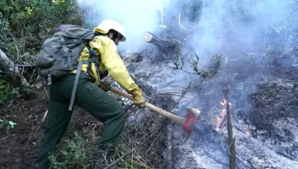 Informan que hay riesgo extremo de incendios forestales 