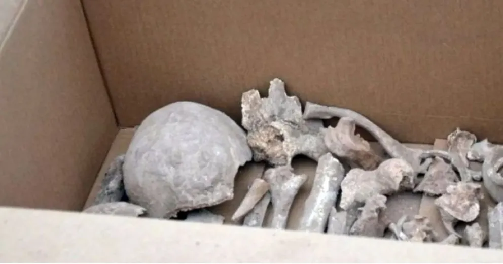 Una caja con un cráneo se cayó de un camión de basura frente a una dependencia policial