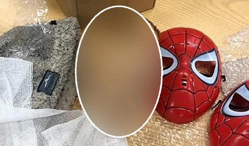 Macabro: una cabeza momificada de un niño fue encontrada en una encomienda