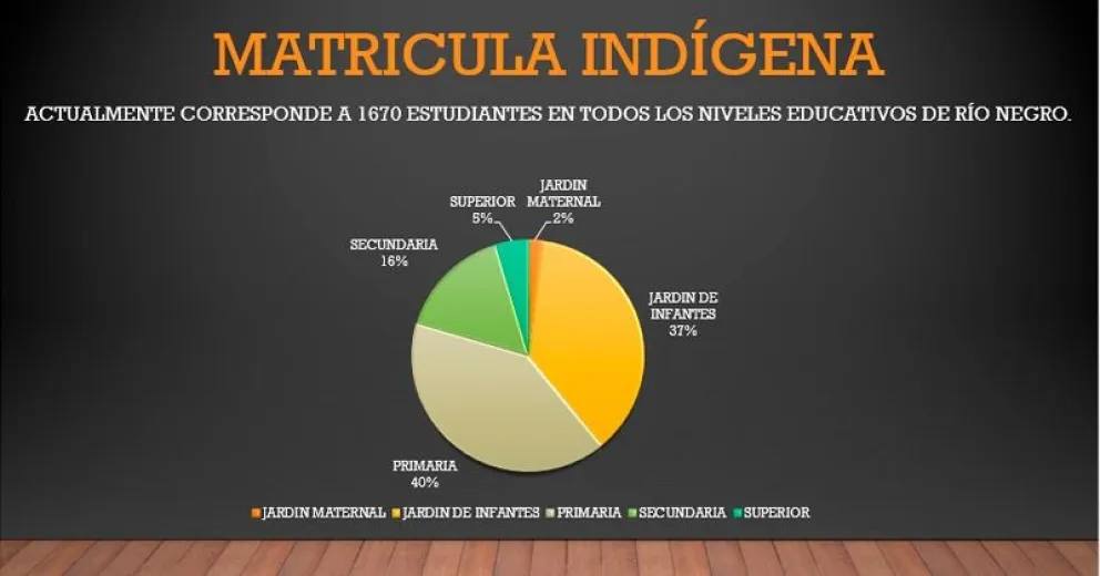 La Ley Integral Indígena llega actualmente a 1.670 estudiantes rionegrinos