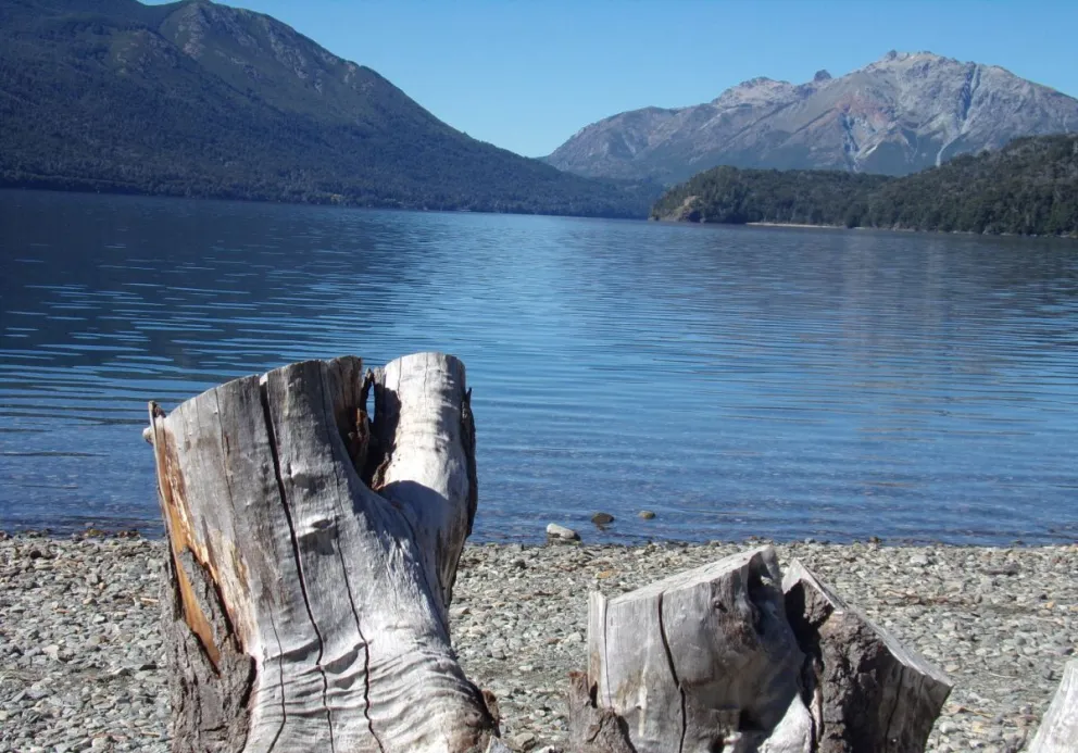 La reina Máxima y su familia pasaron la tarde en el camping Relmu Lafken