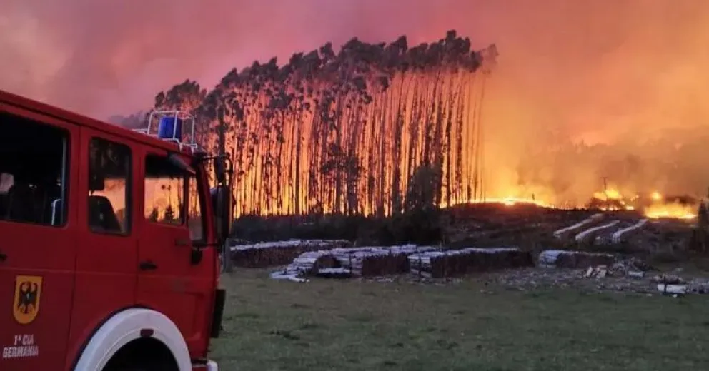 El humo del incendio forestal en Valdivia llegó a Bariloche