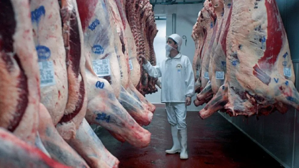 Continúa la venta de carne con media res: el Gobierno postergó el troceo