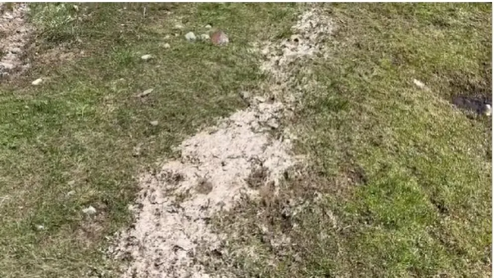 Preocupación por el hallazgo de residuos en la costa del lago Nahuel Huapi