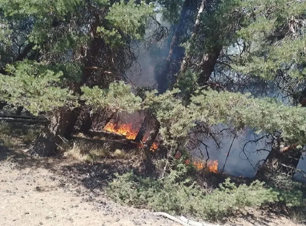 Sofocaron el incendio que se reavivó por el viento reinante en Cerro Los Pinos