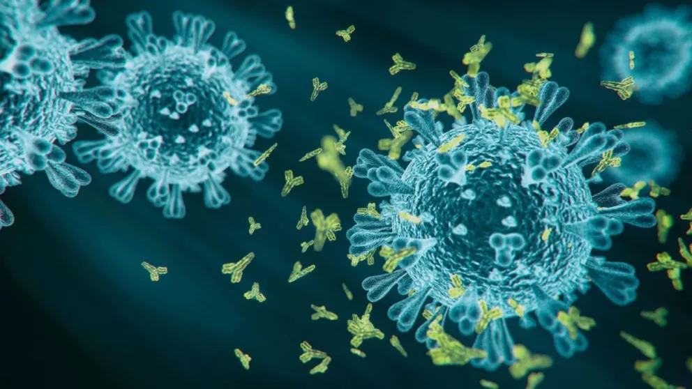 Cuáles son los síntomas de “Kraken” la variante más contagiosa de COVID y que ya está en Chile y Brasil