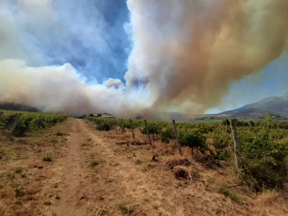 Alerta Naranja en El Hoyo: hay evacuados por el incendio forestal en el cerro Currumahuida 
