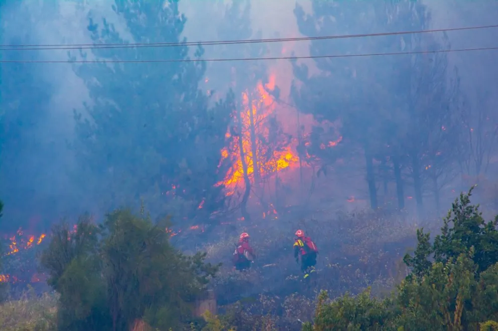Estaría confirmada la intencionalidad del origen del incendio en El Hoyo