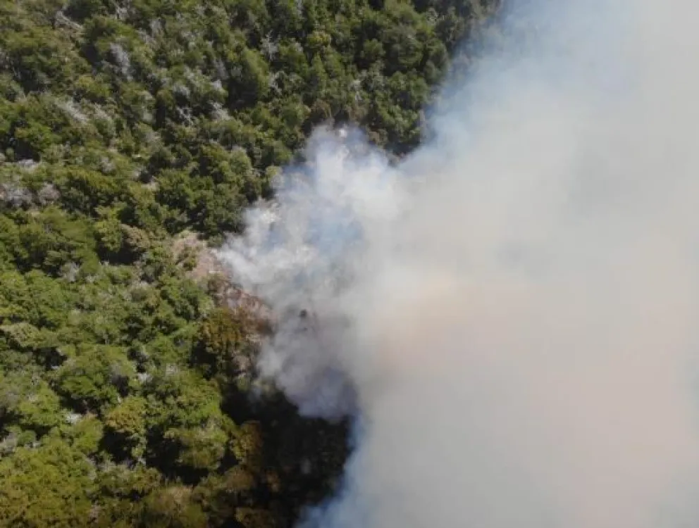 Se desató otro incendio: esta vez en el Parque Nacional Los Alerces