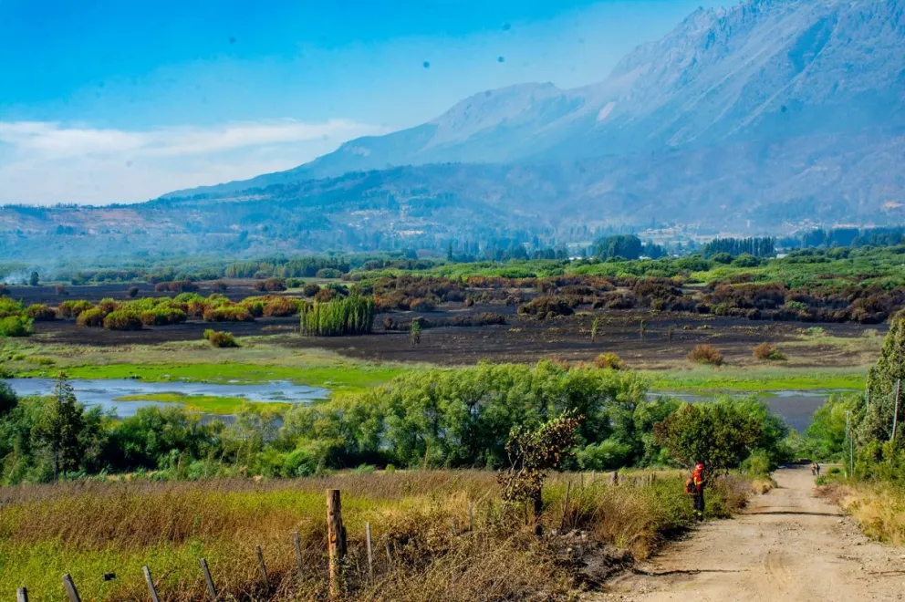 Excelente noticia: lograron contener el incendio en El Hoyo