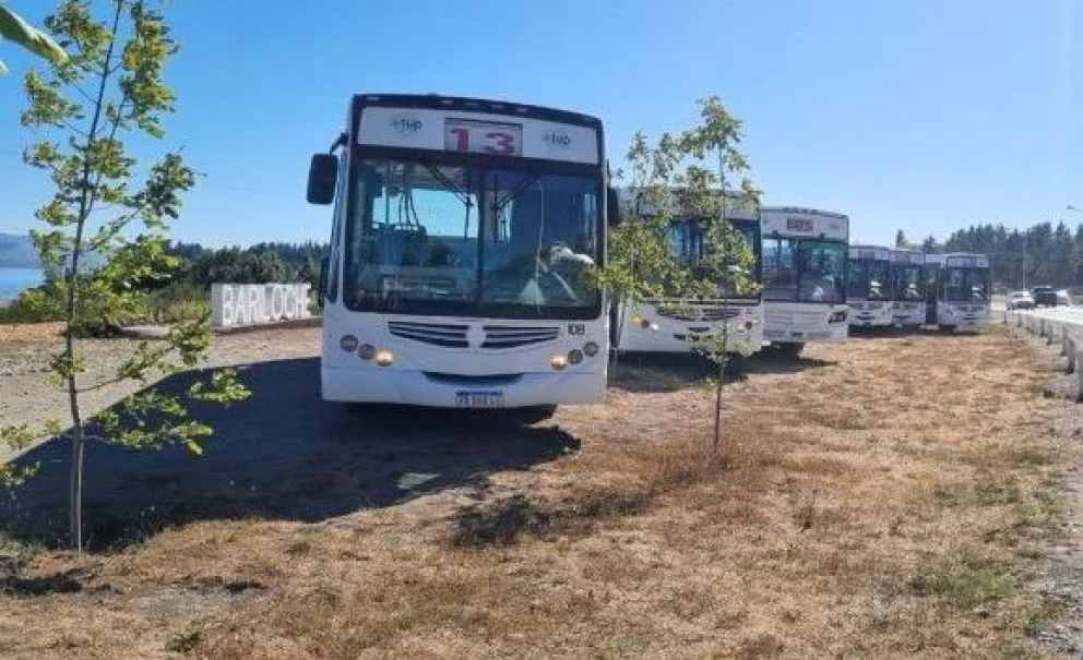 Ya se encuentran disponibles las nuevas unidades de Mi Bus 