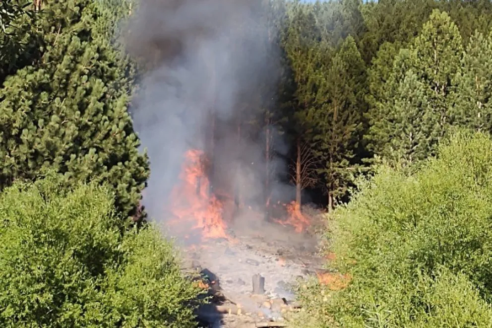 Una discusión entre dos vecinos generó un incendio a metros de un área forestal 