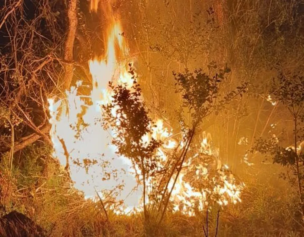 Combaten incendio en Cuesta del Ternero