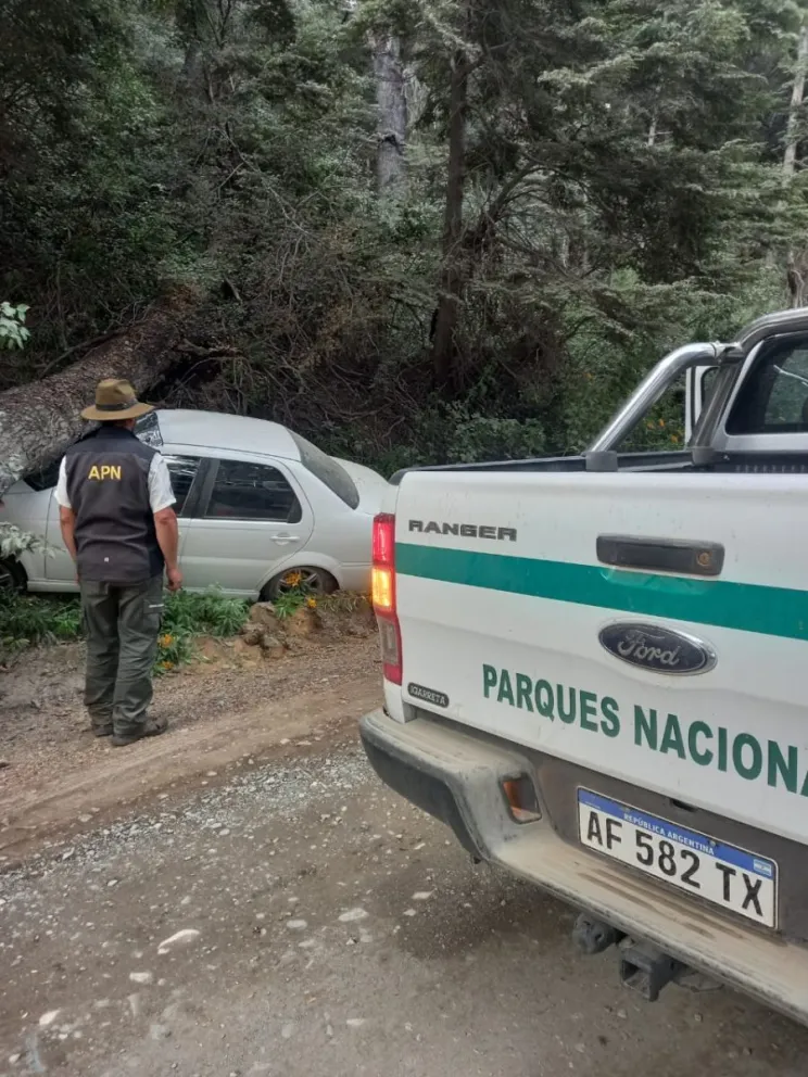 Iban camino a Tronador, despistaron y terminaron chocando contra un árbol