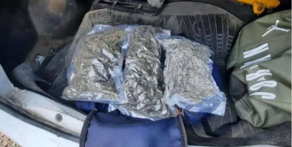Gendarmería secuestró cocaína y marihuana en un control realizado en Ruta 40