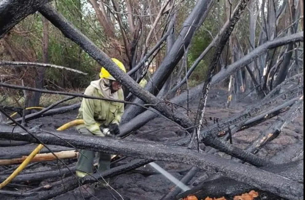 Nuevo incendio de interfase en El Hoyo