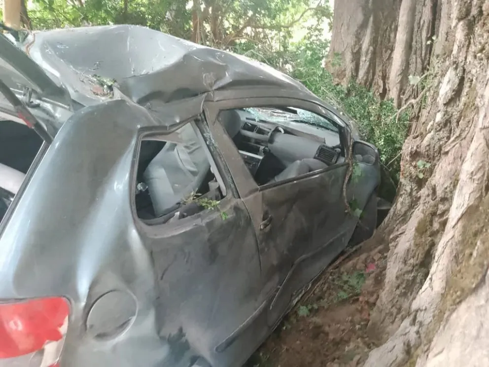 Perdió el control de su vehículo y se estrelló contra un árbol