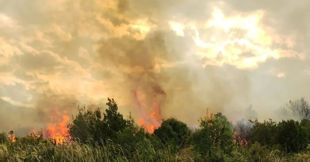 Controlado y extinguido el incendio forestal que se desató en inmediaciones de Esandi