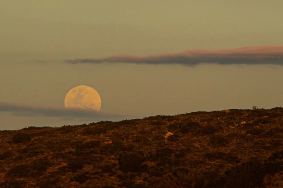 El 1° de febrero se podrá ver la Luna con telescopios en el Centro Cívico