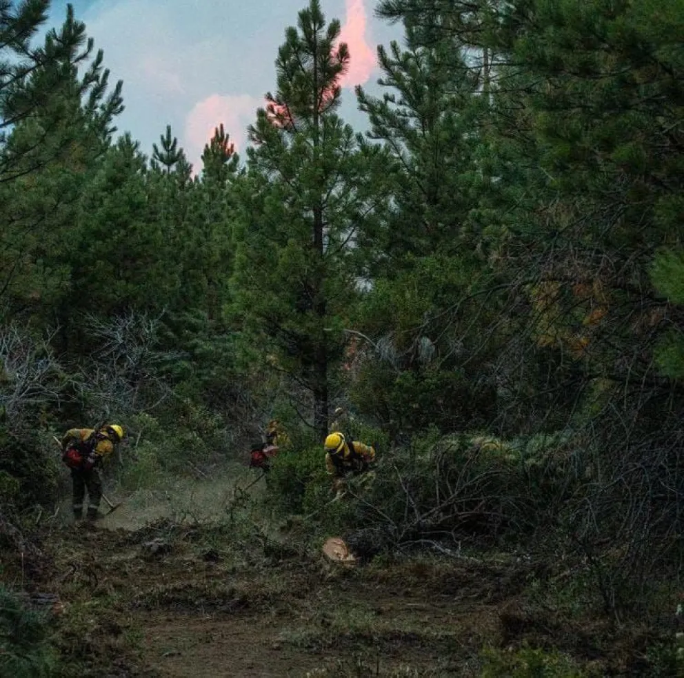 El incendio en Cuesta del Ternero está en proceso de ser contenido, aunque sigue activo