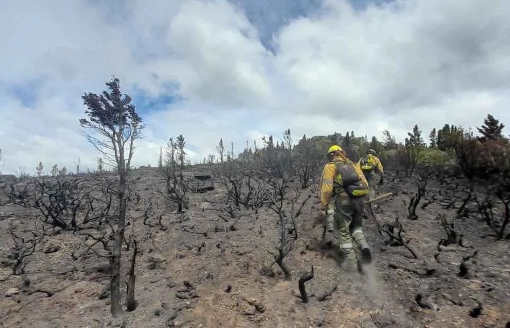 Dos focos se mantienen activos luego del cuarto día del incendio en Cuesta del Ternero 