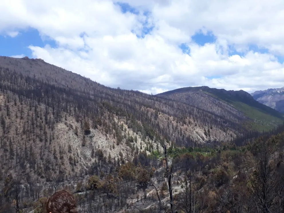 Se mantienen activos dos sectores del incendio en Cuesta del Ternero