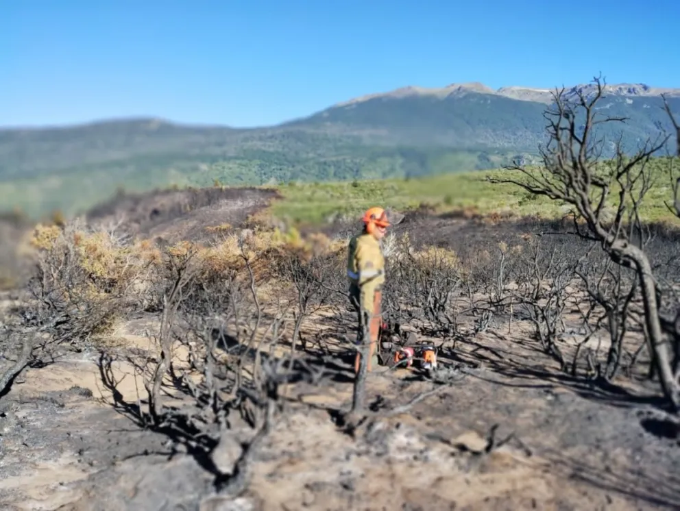 Dos sectores del incendio en río Ternero siguen activos y El Foyel demandó que los brigadistas se instalen en la zona 