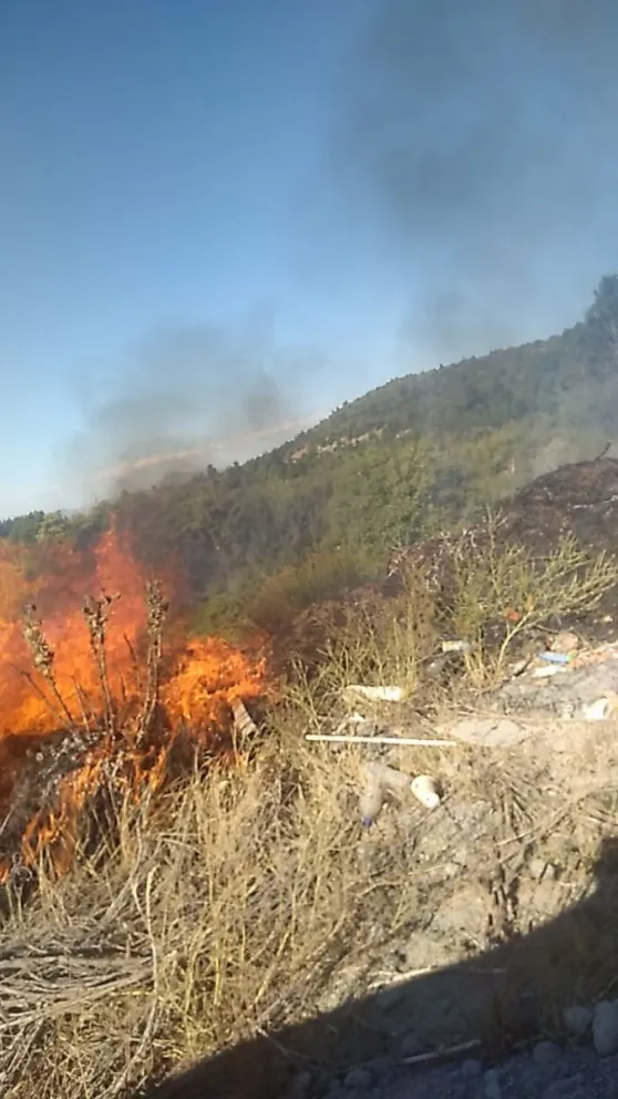 Se desató un incendio forestal en la zona de circunvalación 