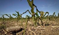 El Gobierno anunció medidas para ayudar a entidades del campo a afrontar la sequía
