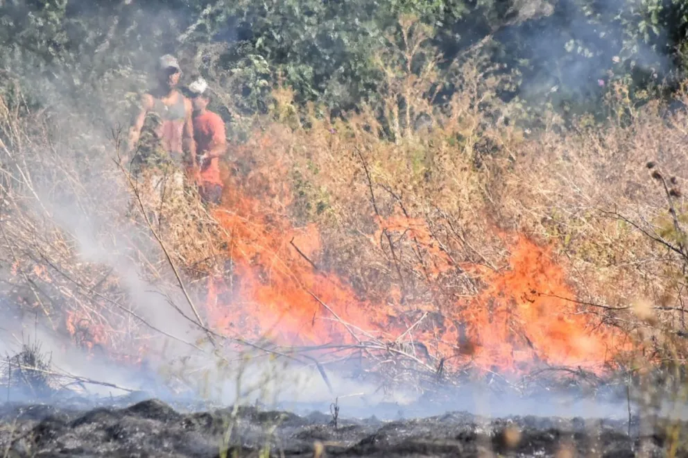 Combaten voraz incendio a metros de INVAP