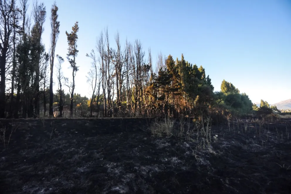 Orlando Báez: "El fuego llegó a metros de tres viviendas, pudo ser un desastre"