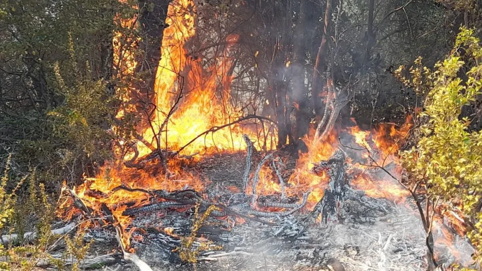Bomberos de Los Alerces en pleno combate del fuego casi quedan encerrados por las llamas