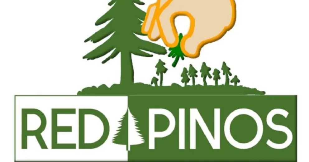 Por qué es importante la actividad de remoción de pinos invasores