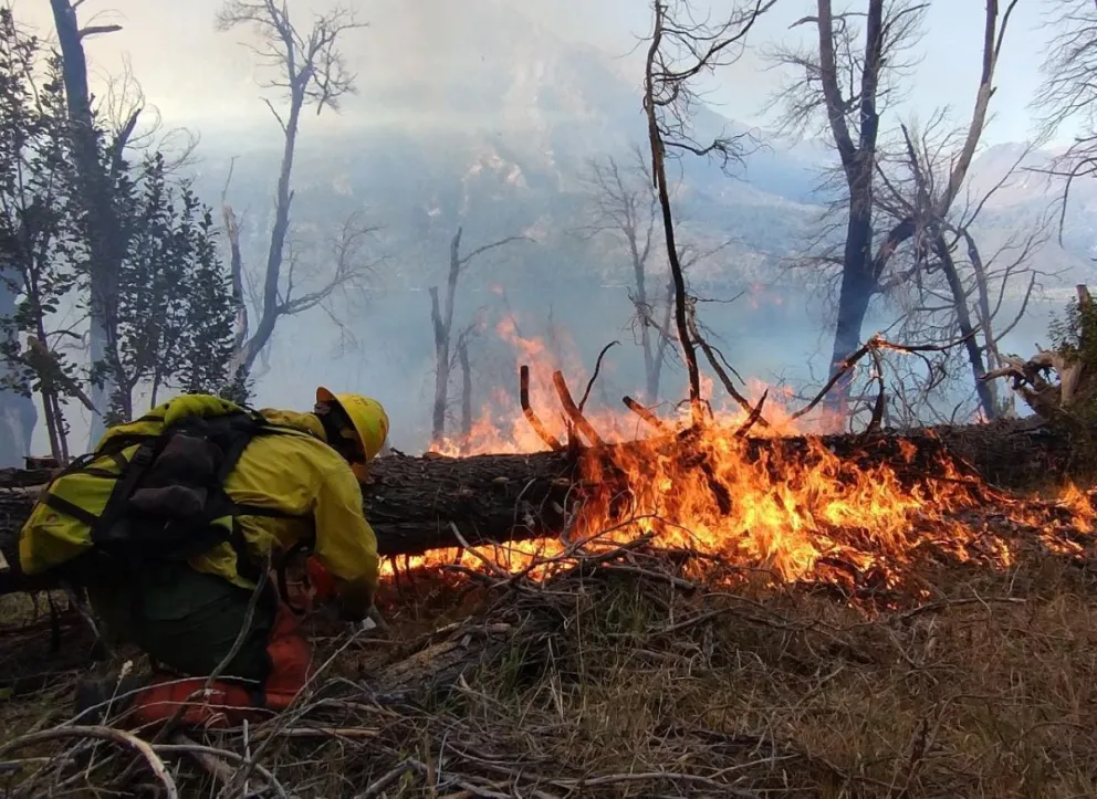 Ocho bomberos de El Bolsón se suman para combatir el fuego en la localidad de Cholila 