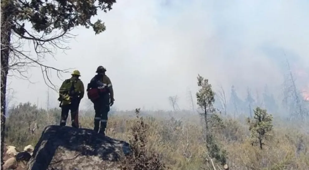 El incendio en el lago Cholila avanzó 30 metros por minuto