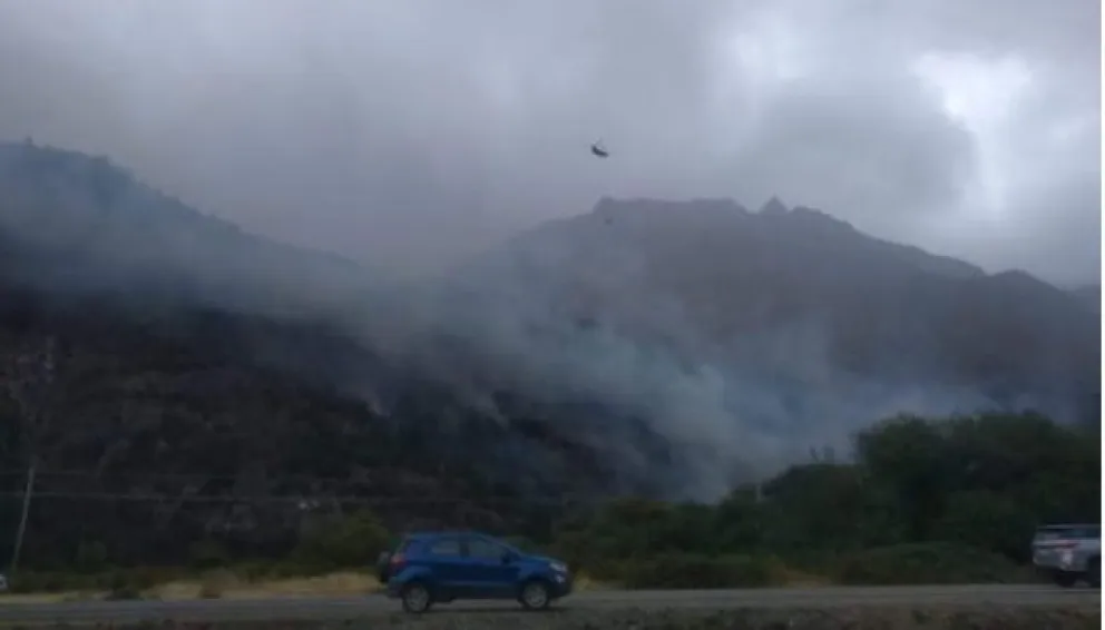 Continúa activo el incendio en el Pedregoso y se presume que fue intencional 