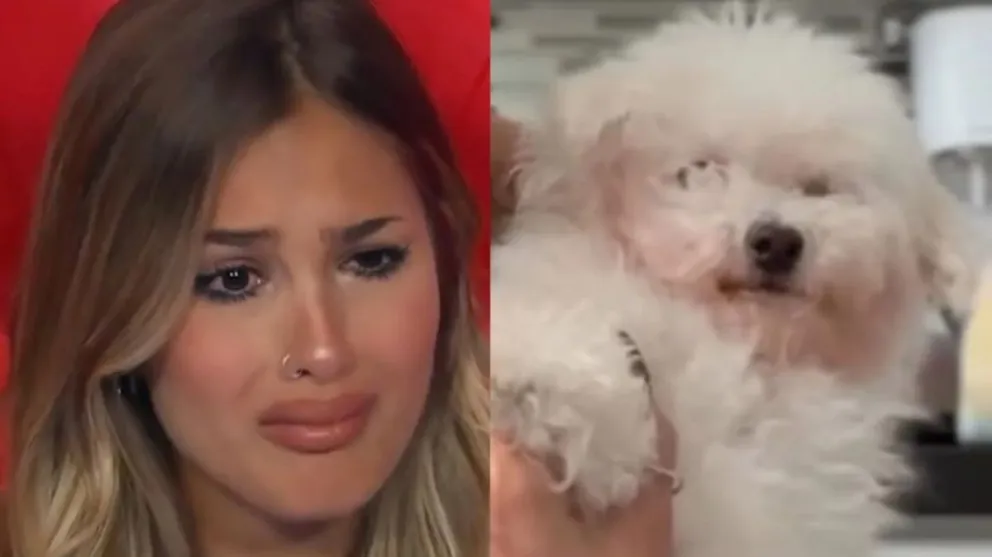 Participante de Gran Hermano fue denunciada por violencia animal: le deseó la muerte a su perra