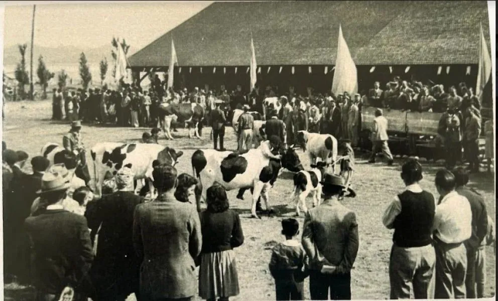  A días de la expo: la Sociedad Rural repasa sus 80 años de historia y desafíos