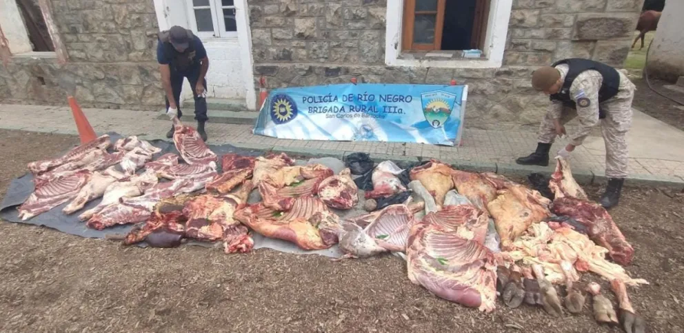 Decomisan 600 kilos de carne que era transportada ilegalmente
