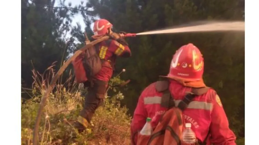 El Gobierno de Chubut ascendió a 68 brigadistas del Servicio Provincial de Manejo del Fuego