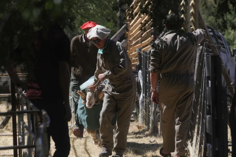 El campo, como cada año, mostrará su esencia en Bariloche (fotos de archivo: Matías Garay).